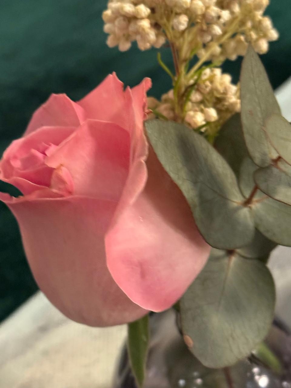 A single perfect rose — L'Affaire Events