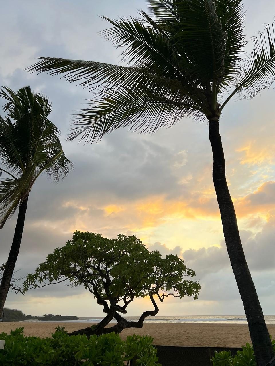 International tour — Bali sunset
