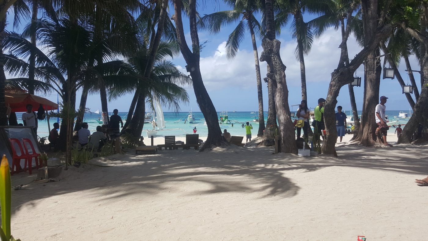 Island palms, Boracay — L'Affaire Events