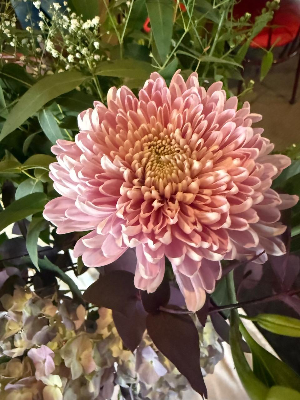 Garden chrysanthemums — L'Affaire Events